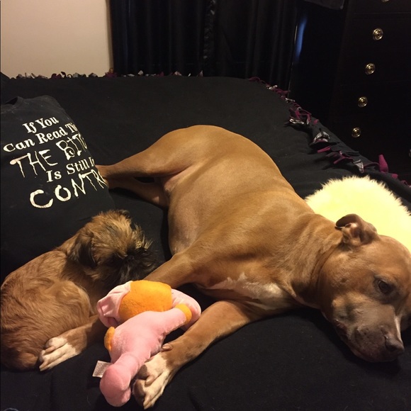 Meet your Posher, Pamela - Picture 8 of 14